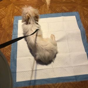 Meet your Posher, Erica